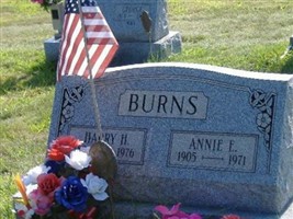 Harry H. Burns