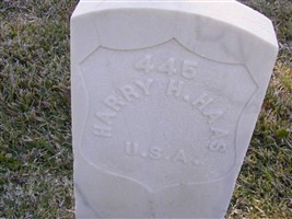 Harry H Haas