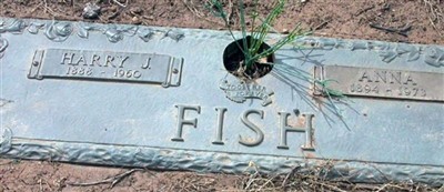 Harry J Fish
