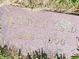 Harry J Reed