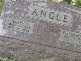 Harry L Angle Harry L Angle