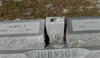 Harry L. Johnson