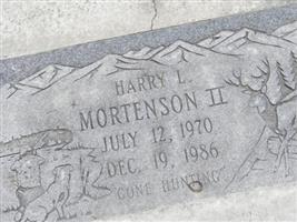 Harry L. Mortenson, II