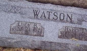 Harry L. Watson