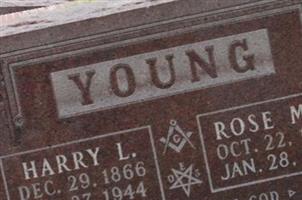 Harry L Young