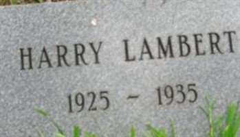 Harry Lambert Harry Lambert