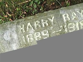 Harry Leroy Ray
