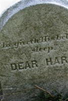 Harry Lock