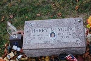 Harry M Young