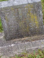 Harry M. Ziegler