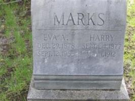 Harry Marks