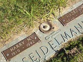 Harry N Seidelmann Harry N Seidelmann