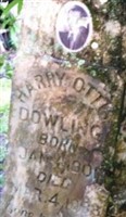 Harry Ottis Dowling