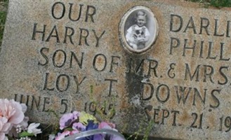 Harry Phillip Downs