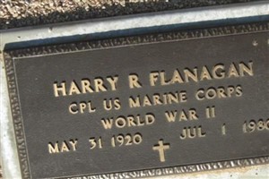 Harry R. Flanagan