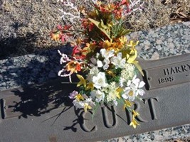 Harry T. Curt Harry T. Curt