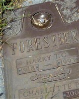 Harry T. C. Forestier Harry T. C. Forestier