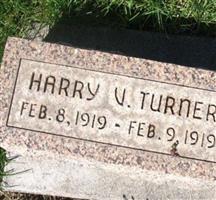 Harry V Turner