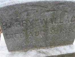 Harry Wallace