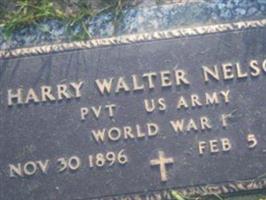 Harry Walter Nelson