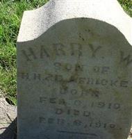 Harry Ward Fricke