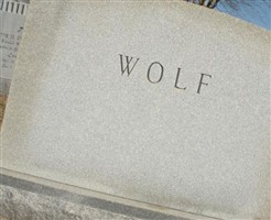 Harry Wolf