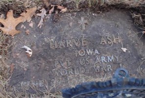 Harve Ash