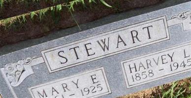 Harve Stewart