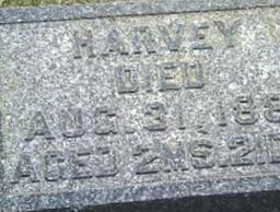 Harvey Clapper Harvey Clapper