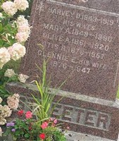 Harvey D. Streeter