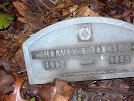 Harvey E. Jackson