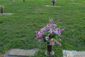 Harvey E. Shull