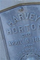Harvey Horton Harvey Horton