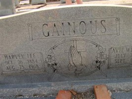 Harvey Lee Gainous Harvey Lee Gainous