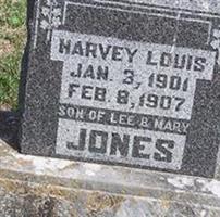 Harvey Louis Jones