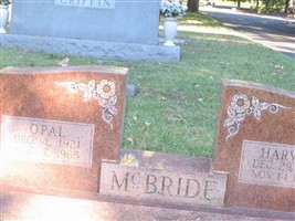 Harvey McBride