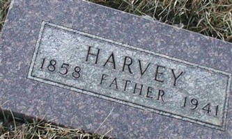 Harvey Noggle Harvey Noggle