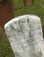 Harvey Strong