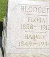 Harvey W Blodgett