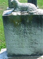 Harvey W Lehman
