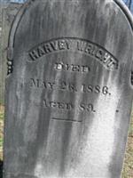 Harvey Wright