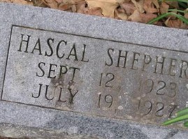Hascal Shepherd