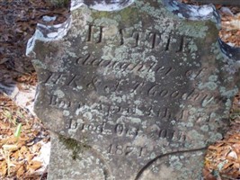 Hattie Gooding