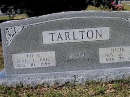 Hattie J Tarlton