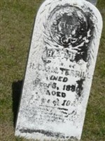 Hattie Terrill