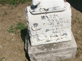 Hazel Dull