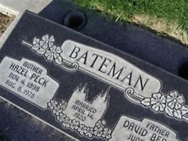 Hazel P Bateman