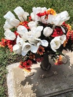 Heather Ann Mary Finch