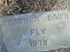 Heather Dawn Fly Heather Dawn Fly