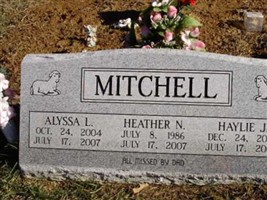 Heather Mitchell Heather Mitchell